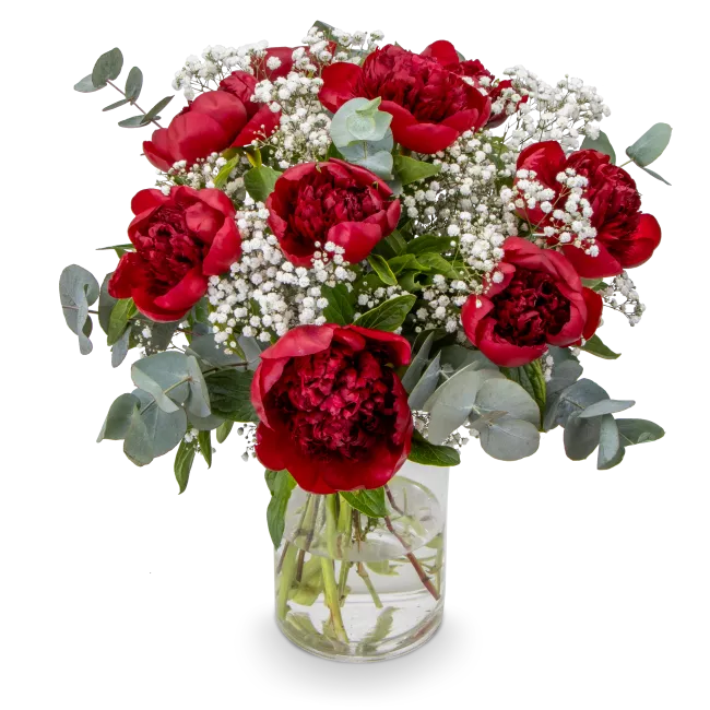 Kytice červených pivoněk